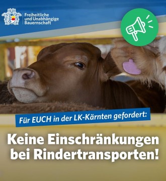 Die österreichische #Bundesregierung, insbesondere Minister Johannes Rauch, arbeitet an einem neuen #Tierschutzgesetz, das den T...