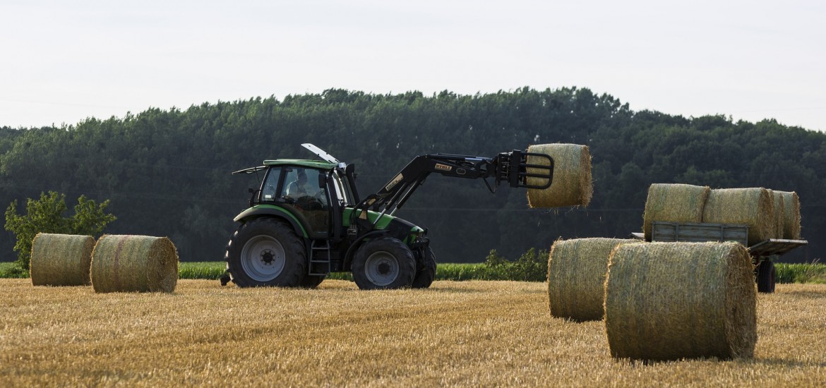 Weltbauerntag am 1. Juni: Bauernland muss in Bauernhand bleiben!
