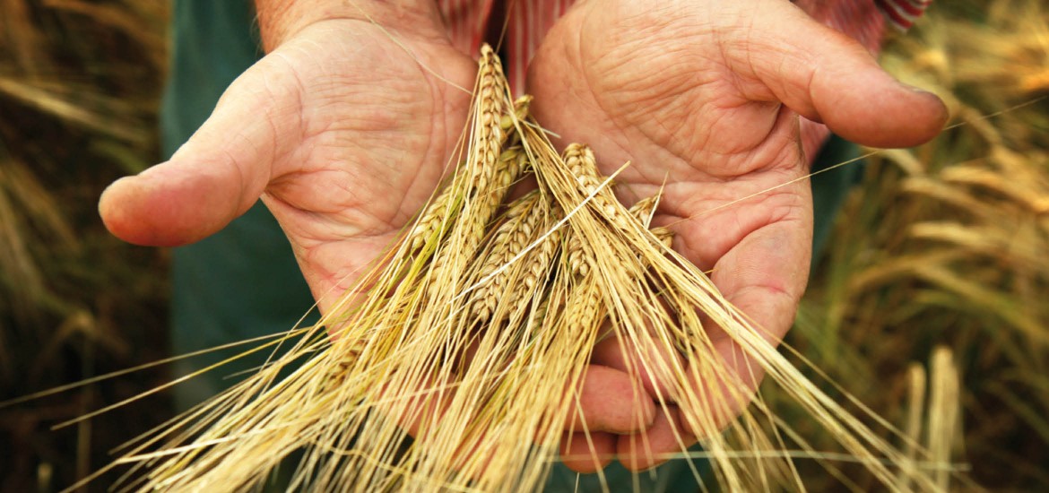 Korrekte Landwirtschaftskammerwahl kann in Kärnten nicht garantiert werden!