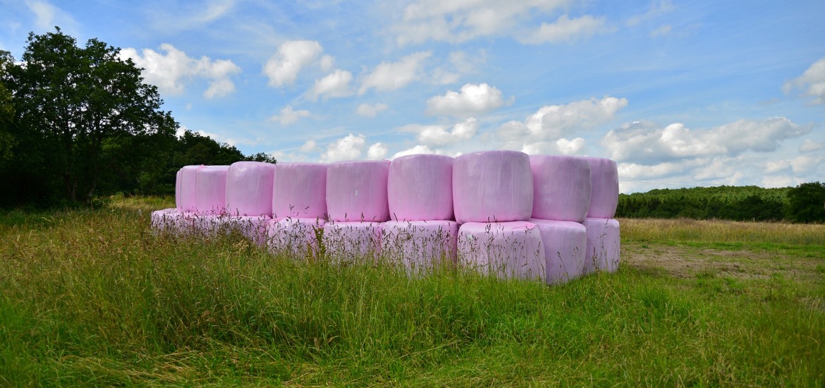 Endlich Rechtssicherheit für die Bauern bei der Lagerung von Silageballen und Rundholz