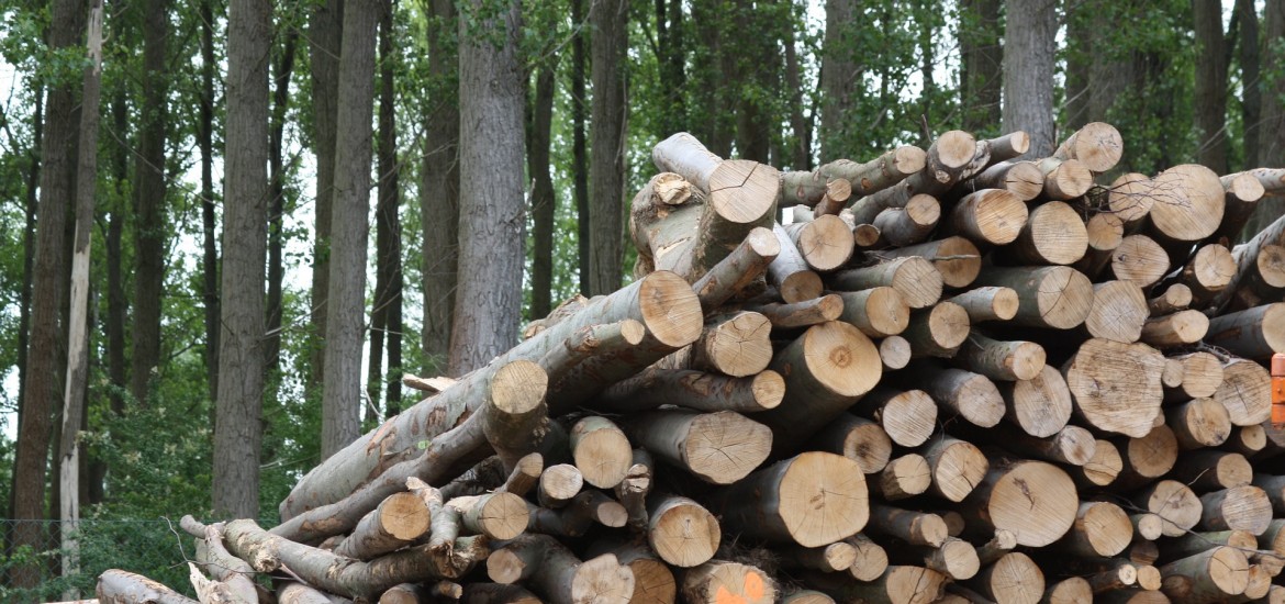 Keine Spur von gelebter Partnerschaft zwischen Holzindustrie und Bauern